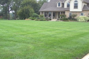 Goetz Landscaping lawn irrigation Valparaiso