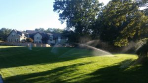 Sprinklers 1